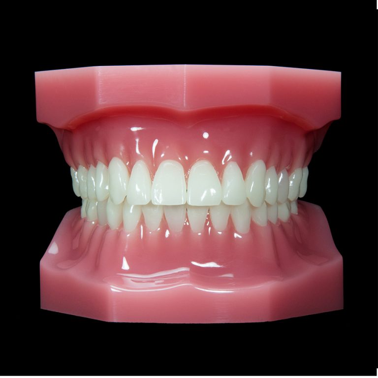 OR-02 Pink Ideal (Flexibase) | Paradigm Dental Models